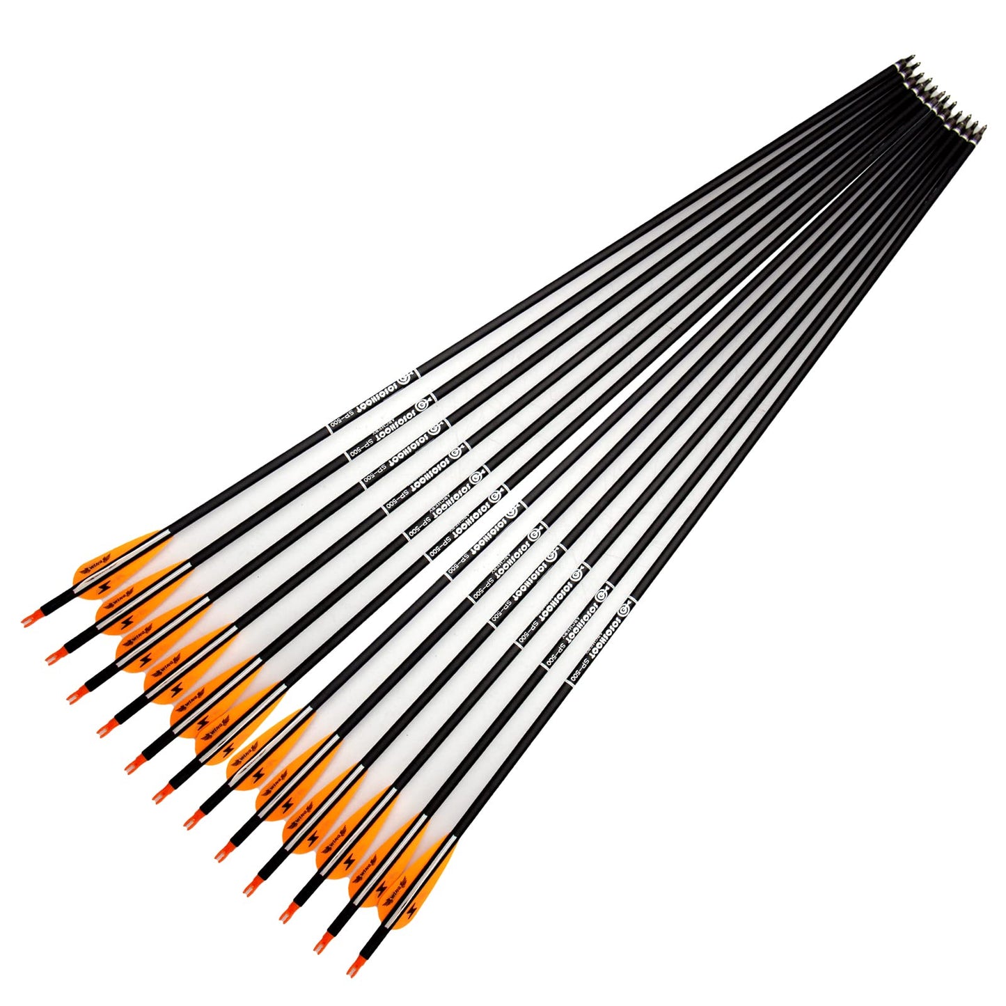 31inch Carbon Arrow Archery Targeting Practice Hunting Arrows for Compound & Recurve Bow with Removable Tips(Pack of 12)