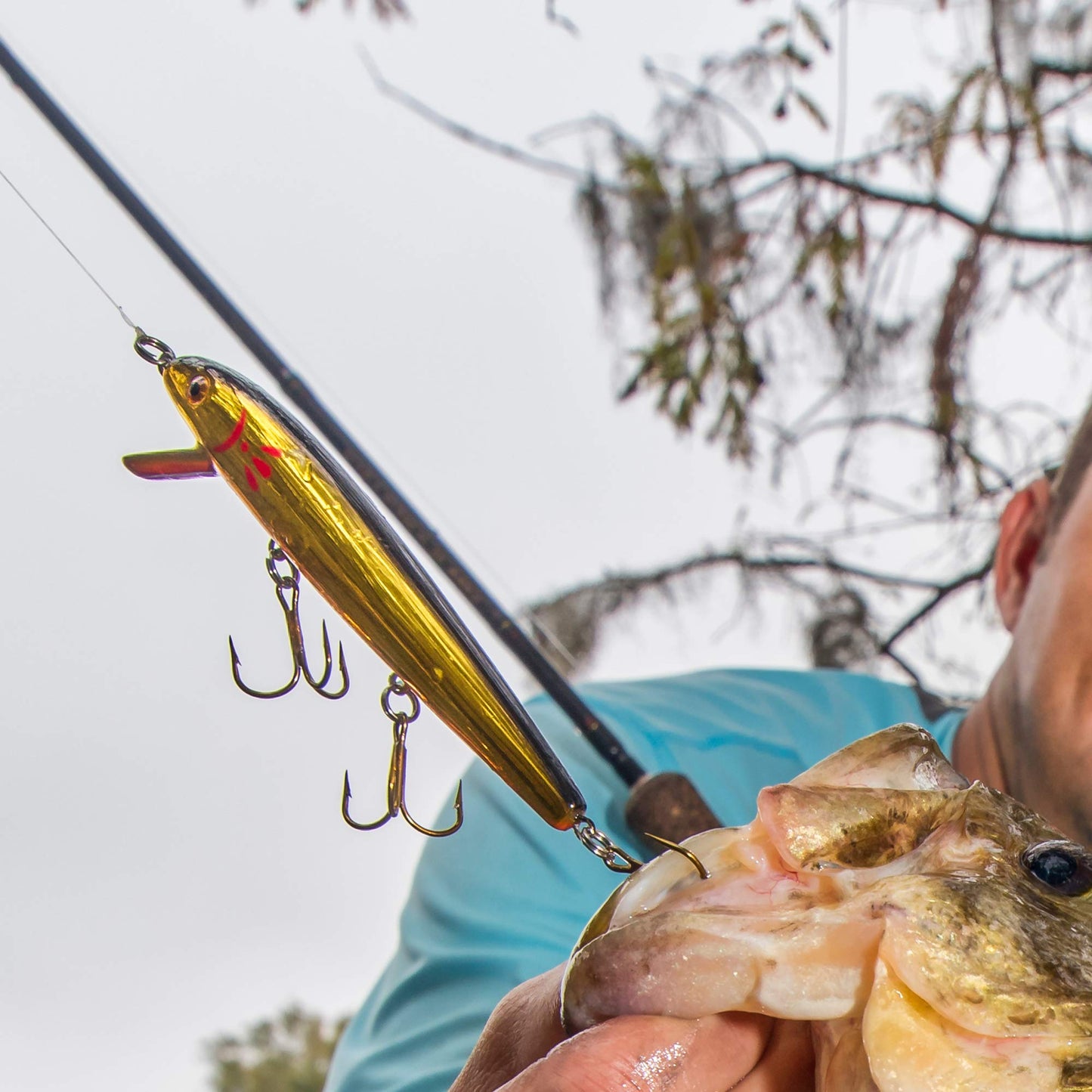 Cotton Cordell Red-Fin Crankbait Bass Fishing Lure
