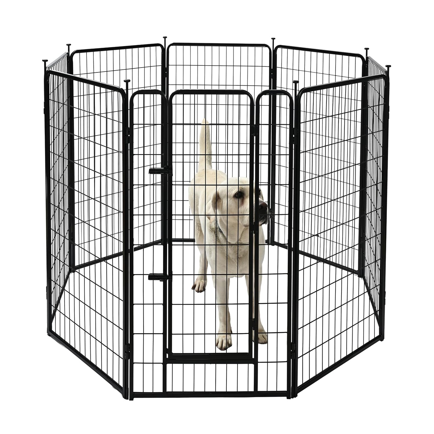 Amazon Basics Dog Playpen, 8 Panels Metal Fence with Door, Foldable for Indoor and Outdoor Use, Suitable for Small to Medium Sized Dogs, 48 Inch Height, Black