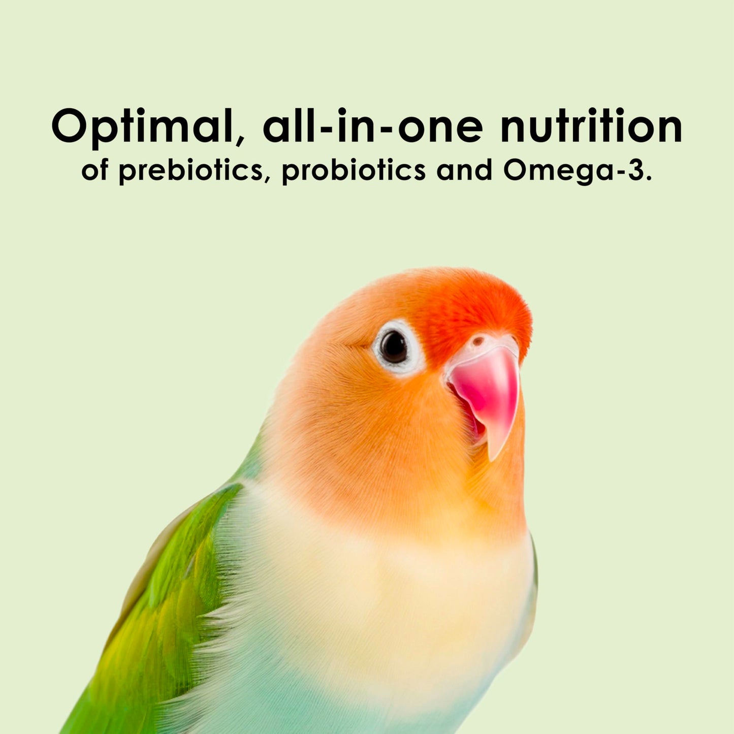 Kaytee Nutri Soft Pet Parrot & Conure Bird Food, 3 Pound