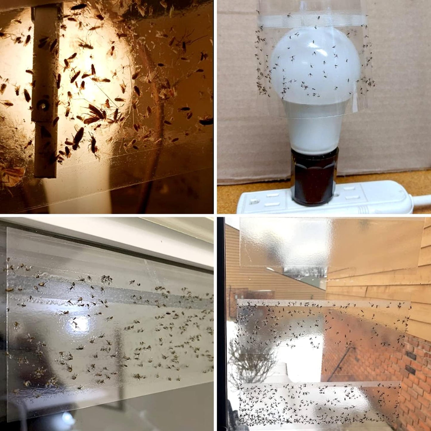 50 Pack Window Fly Traps, Fruit Fly Traps for Indoors, Fly Paper Sticky Strips, Fly Traps for Indoors Clear