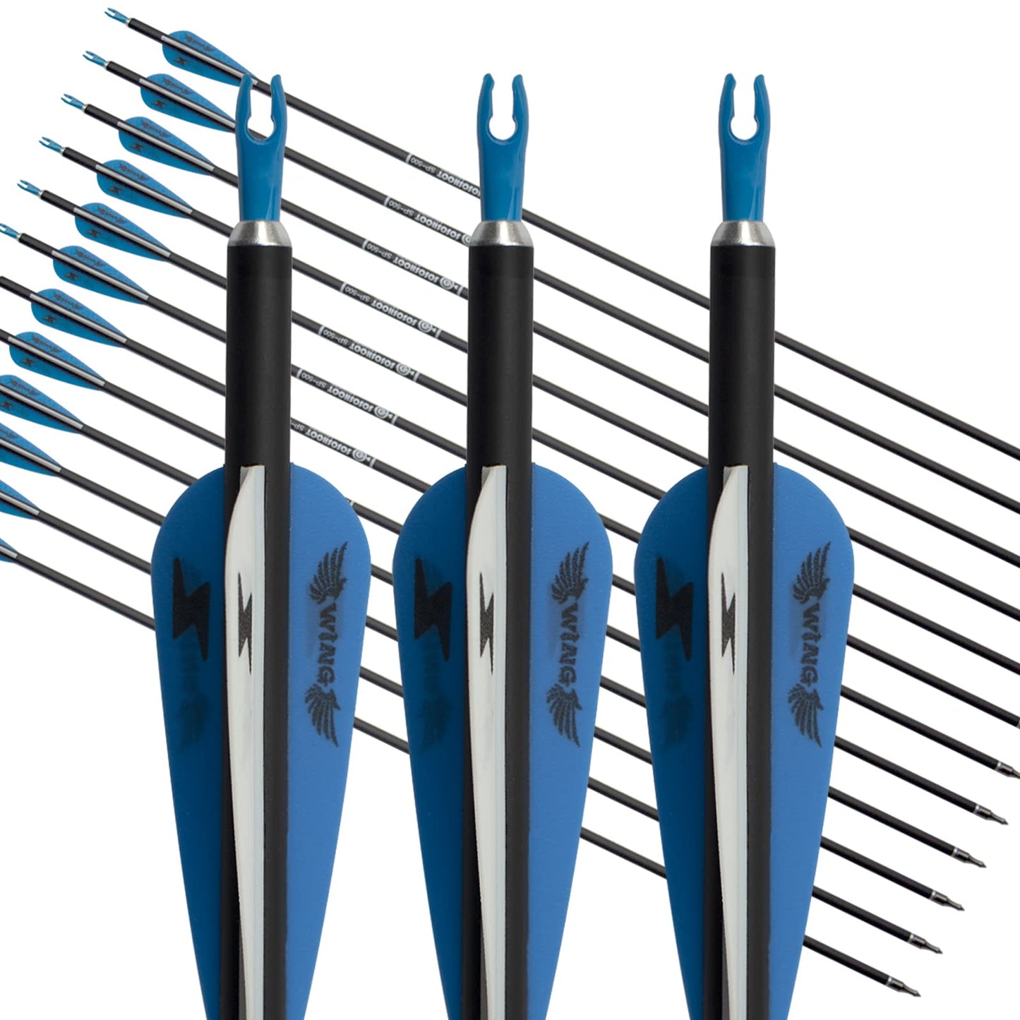 31inch Carbon Arrow Archery Targeting Practice Hunting Arrows for Compound & Recurve Bow with Removable Tips(Pack of 12)
