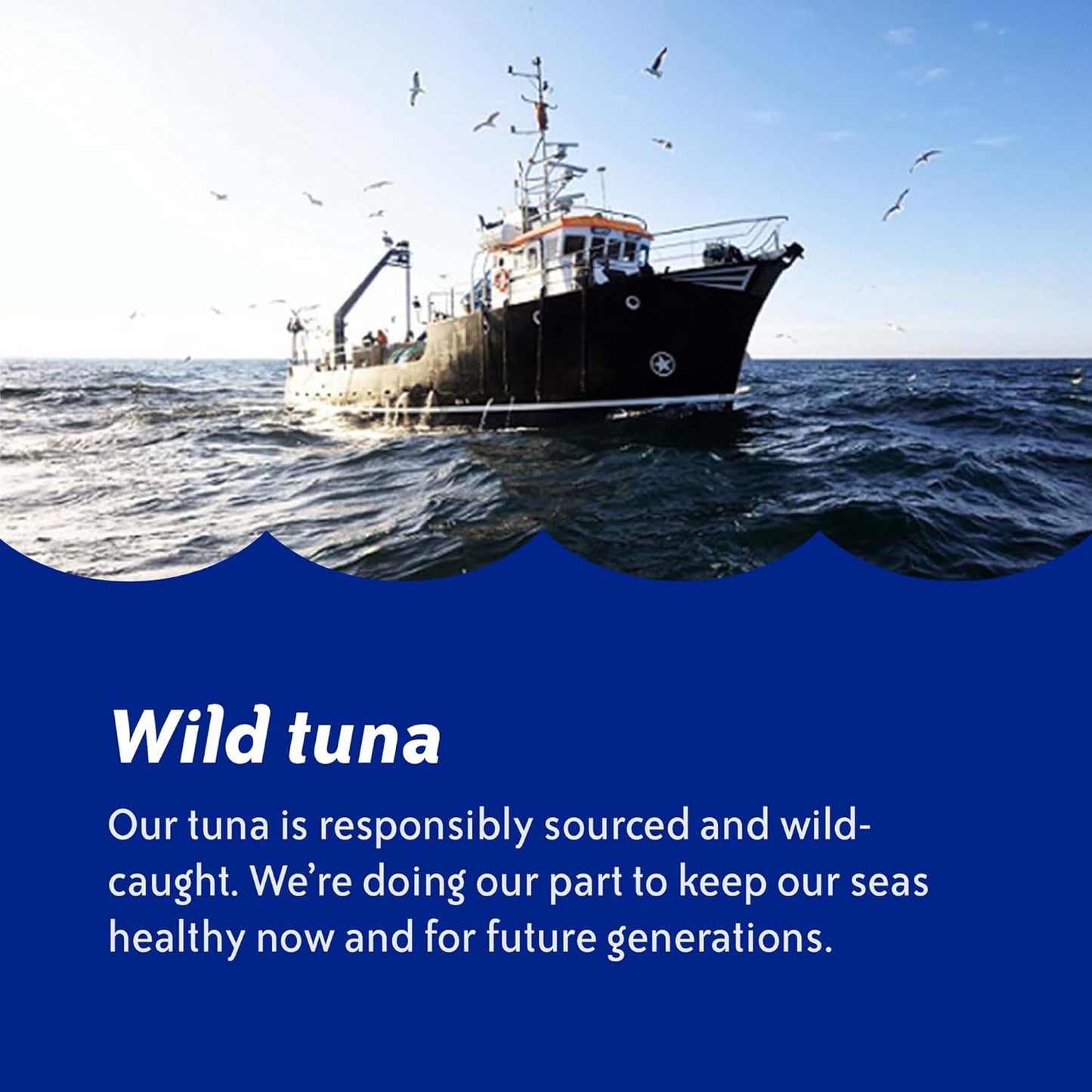 Chicken of the Sea Chunk White Albacore Tuna in Water, Wild Caught Canned Tuna, 12 oz. Can (Pack of 12)