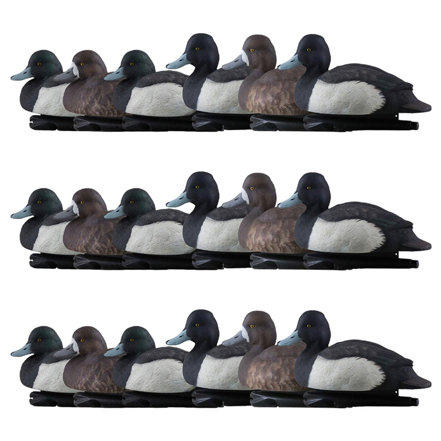 Avian-X Topflight Blue Bills Decoy Set Realistic Duck Decoys with Weight Forward Swim Keel, Greater and Lesser Blue Bills