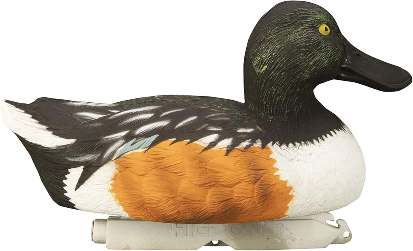 Higdon Outdoors Standard Shoveler Duck Decoys, Foam-Filled