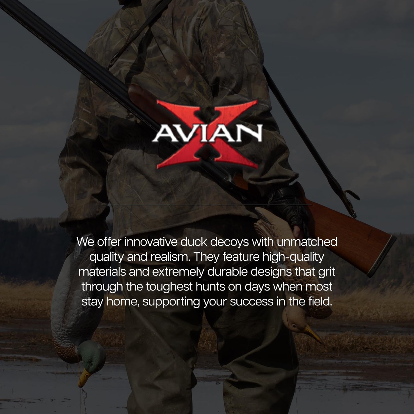Avian-X Topflight Blue Bills Decoy Set Realistic Duck Decoys with Weight Forward Swim Keel, Greater and Lesser Blue Bills