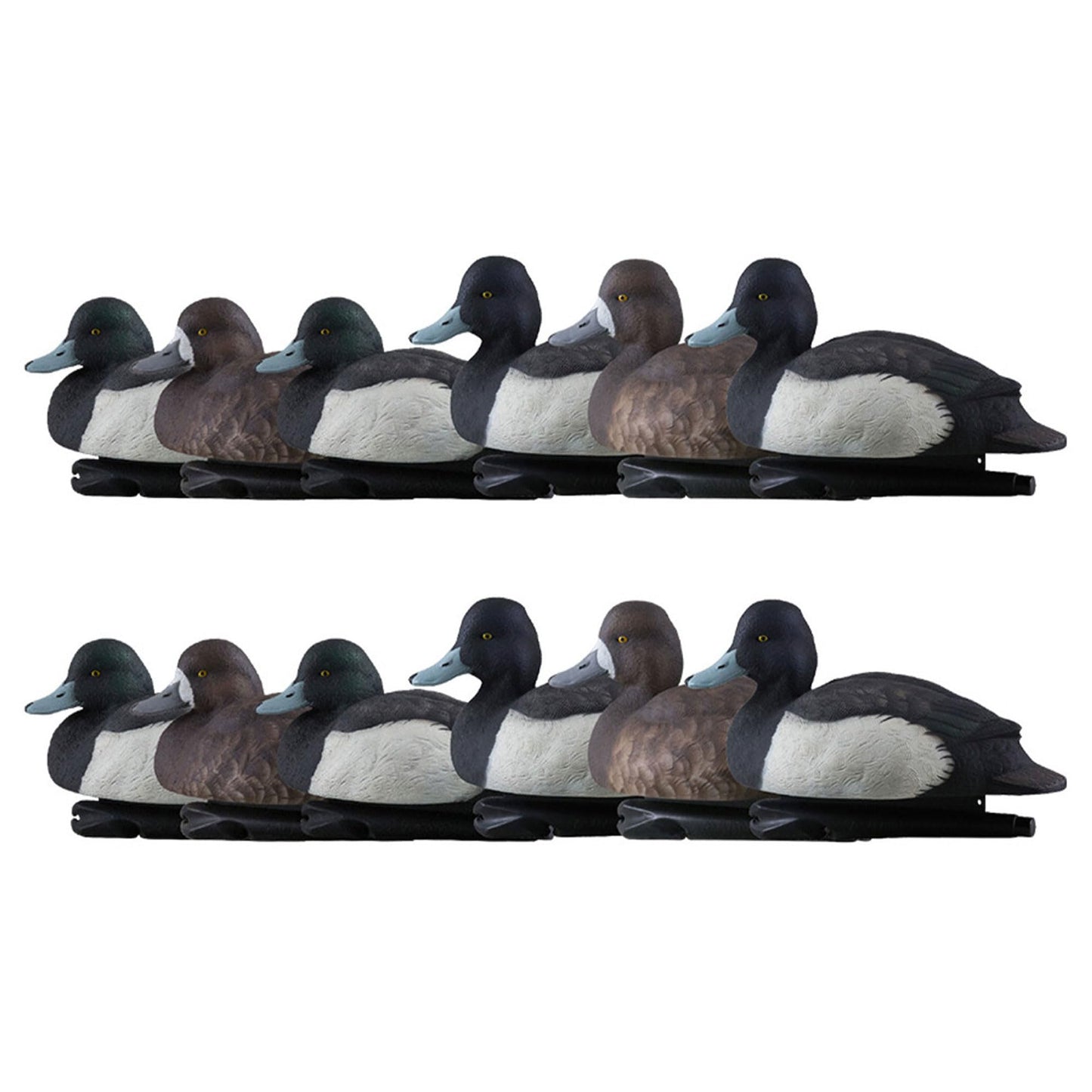 Avian-X Topflight Blue Bills Decoy Set Realistic Duck Decoys with Weight Forward Swim Keel, Greater and Lesser Blue Bills