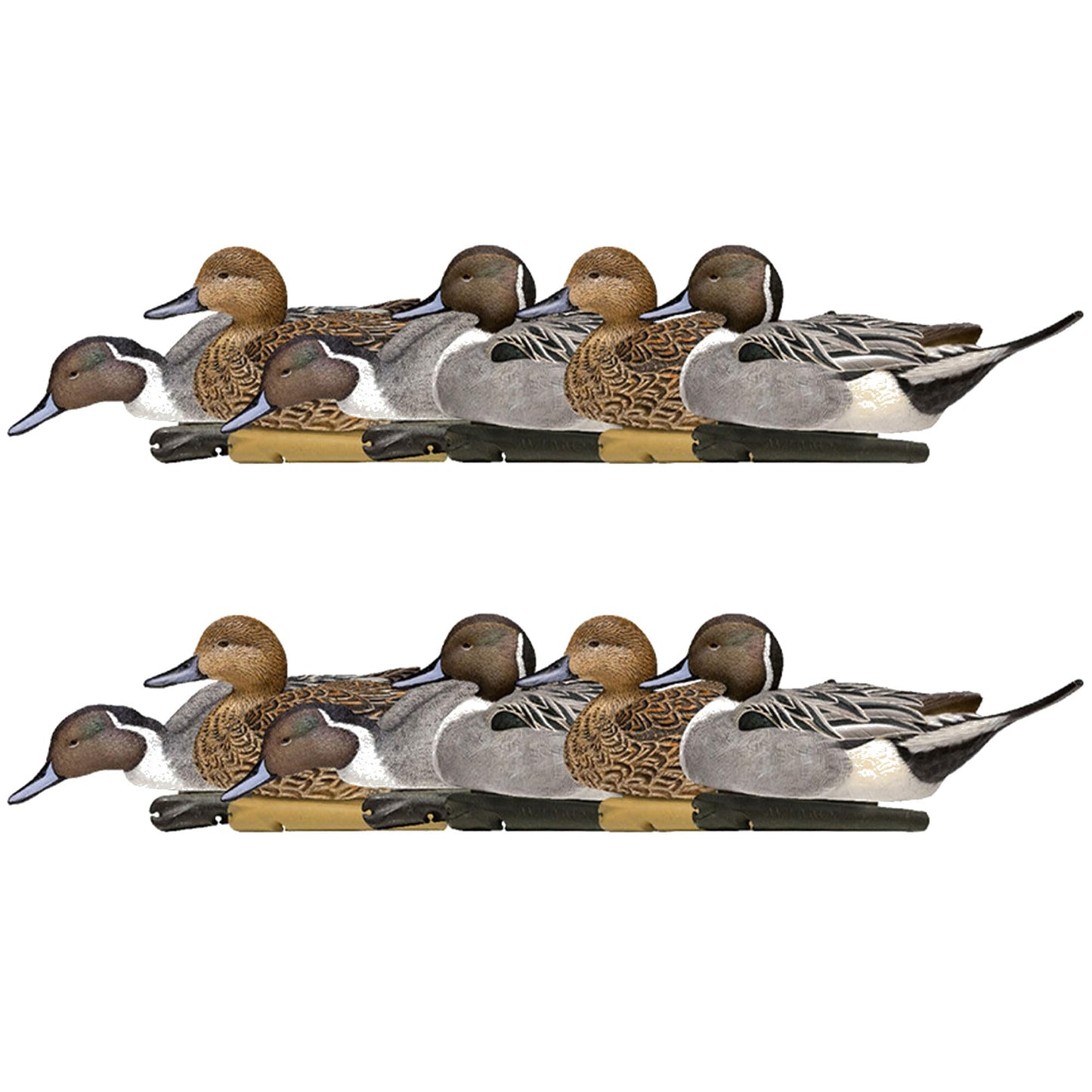 Avian X Topflight Pintail Decoys, Rugged Realistic Floating Duck Decoys for Hunting, Weight-Forward Swim Keel