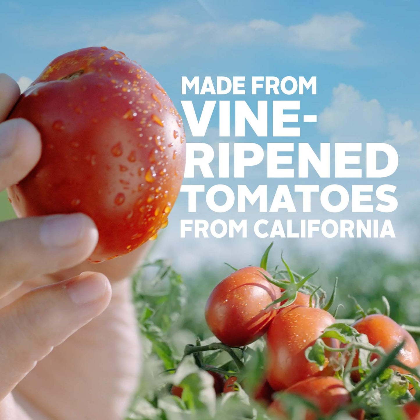 Hunt's Meat Pasta Sauce, 24 oz