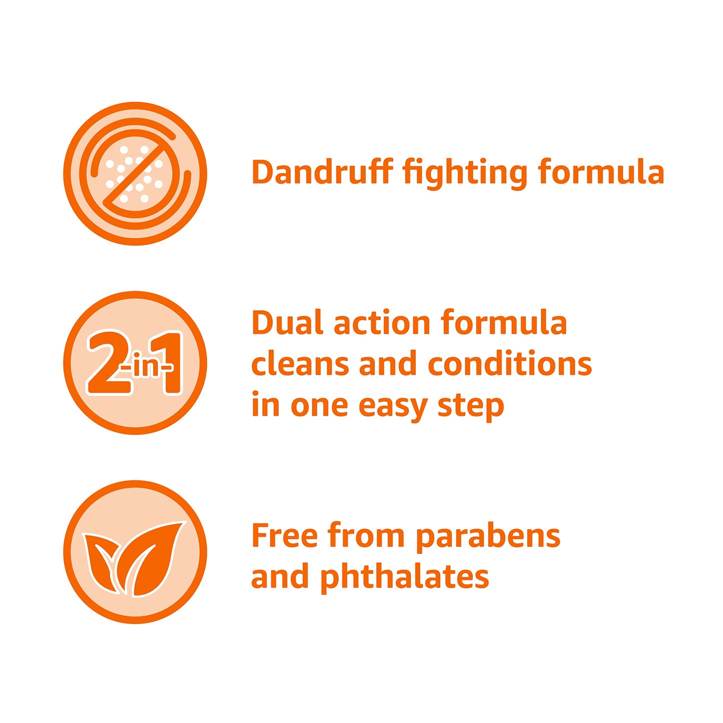 Amazon Basics Anti-Dandruff 2-in-1 Shampoo and Conditioner for Men, Itch and Flake Control, Smooth Spice Scent, pH Balanced, Paraben-Free, Safe for All Hair Types, 12.5 Fl Oz (Previously Solimo)