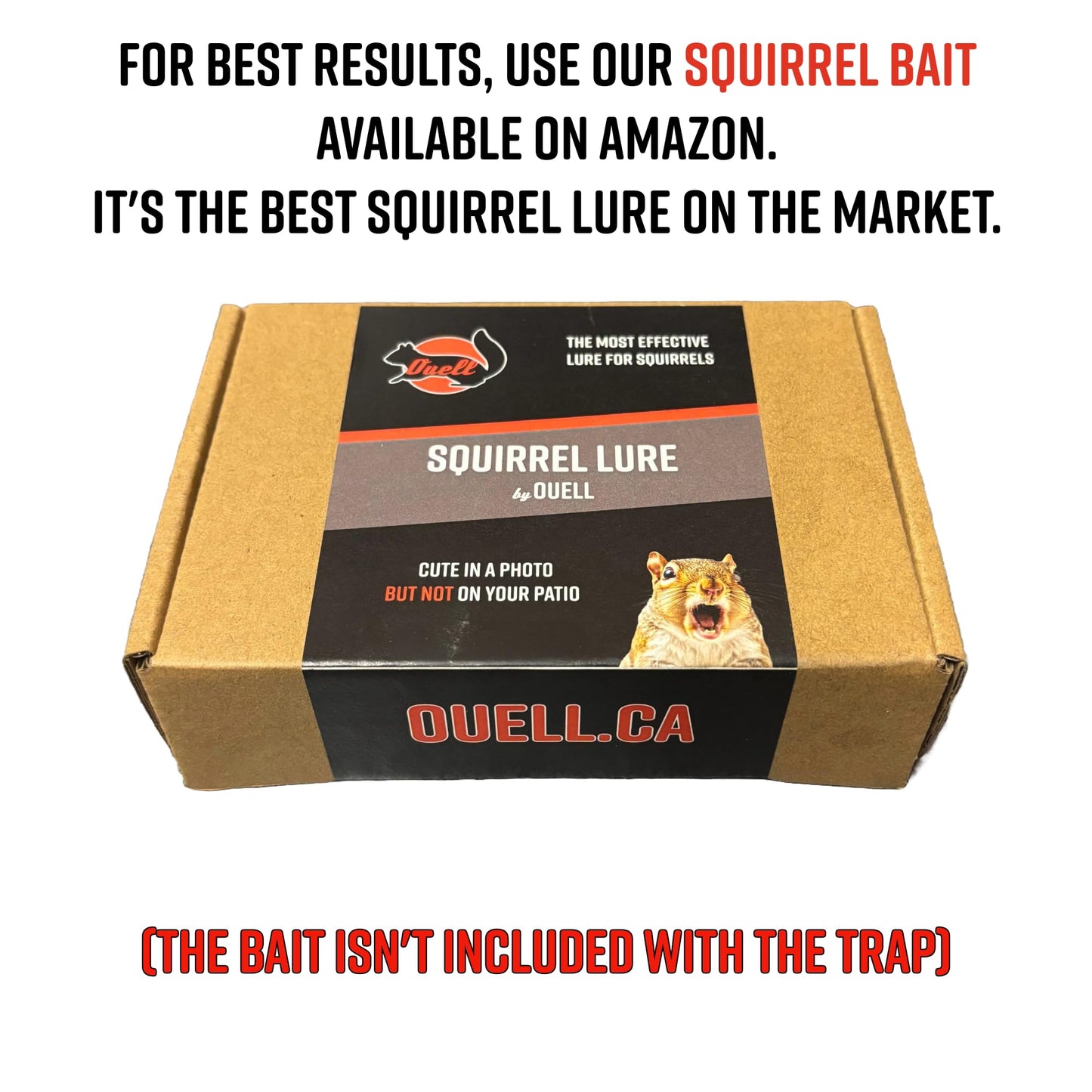Big Squirrel Trap Indoor Outdoor – Medium Rodent Trap – Ouell Traps – Black and Grey Squirrels – QAI Quell – Most Powerful Trap