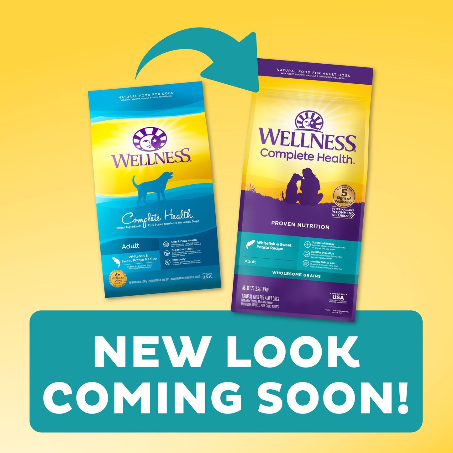 Wellness Complete Health Dry Dog Food, Wholesome Grains, Natural, Lamb & Barley Recipe, (30-Pound Bag)