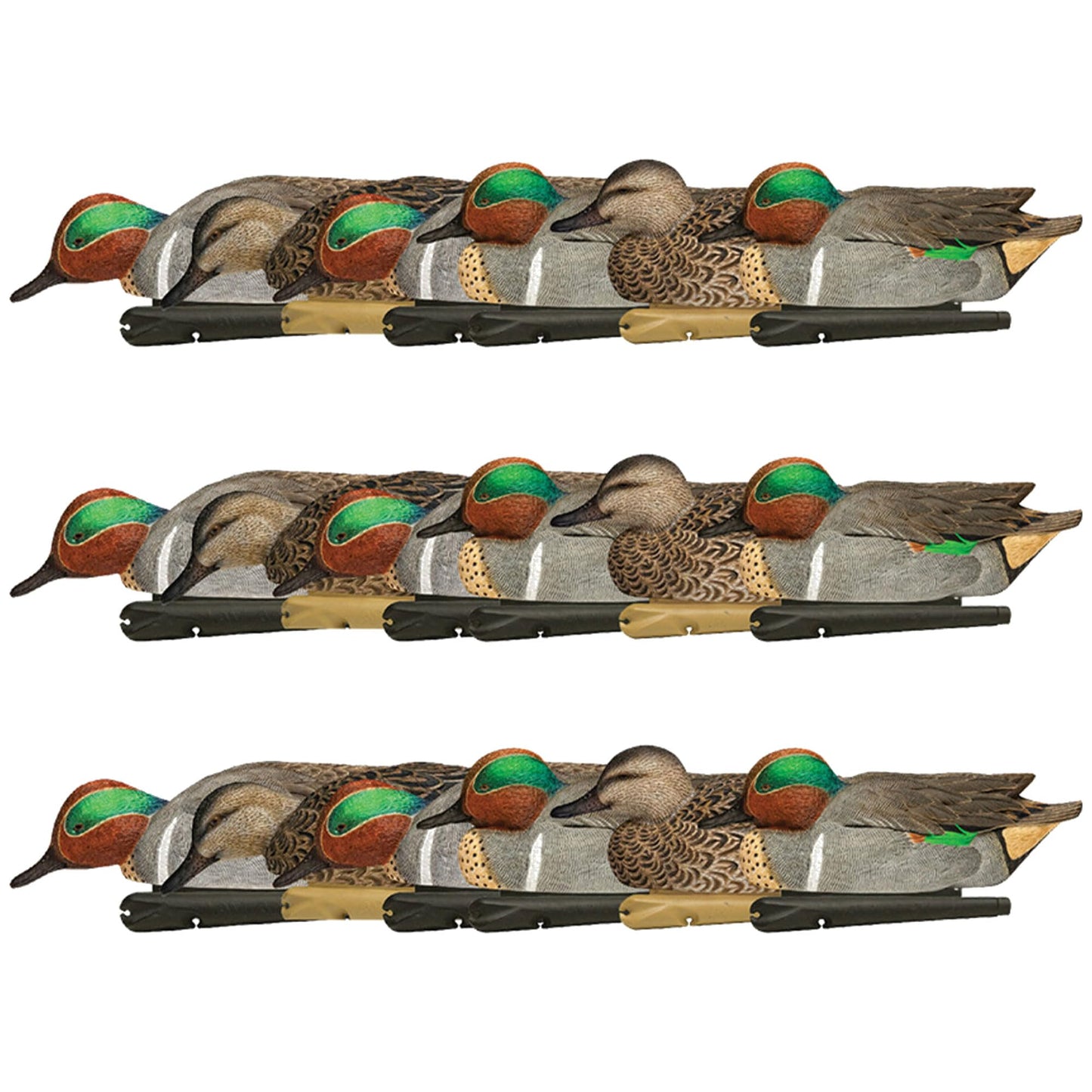 Avian X Topflight Green-Winged Teal Decoys, Realistic Floating Duck Decoys for Hunting, Weight-Forward Swim Keel