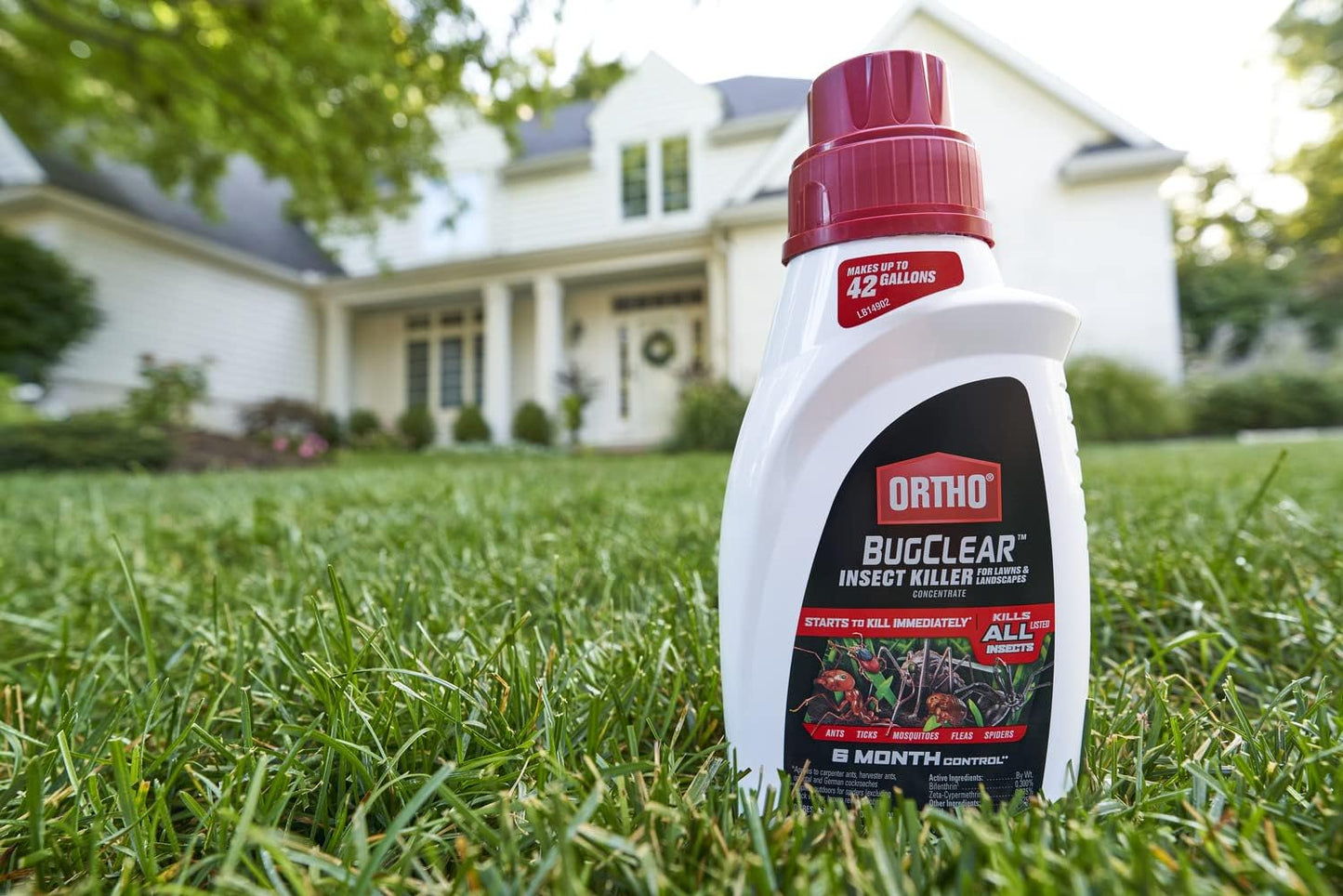 ortho total kill lawn and garden insect killer Ortho BugClear Insect Killer for Lawns & Landscapes Concentrate