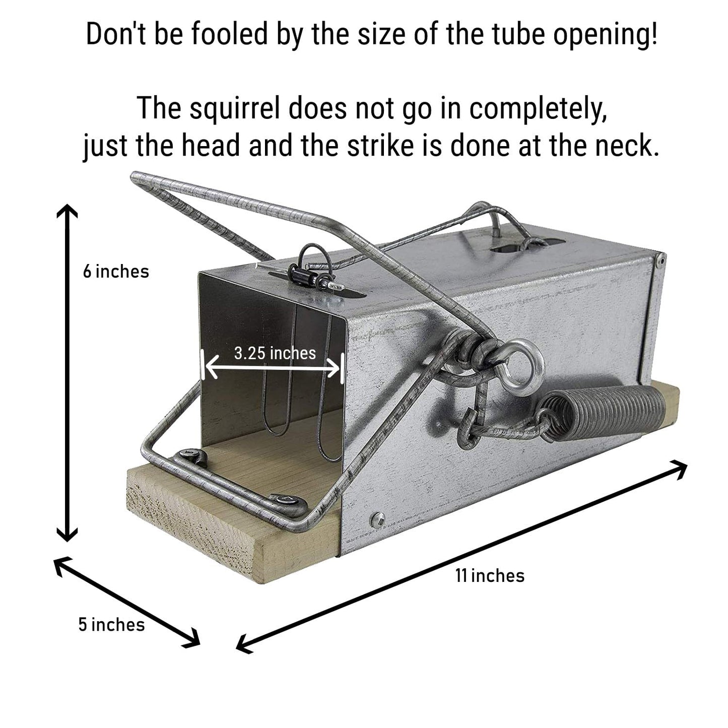 Big Squirrel Trap Indoor Outdoor – Medium Rodent Trap – Ouell Traps – Black and Grey Squirrels – QAI Quell – Most Powerful Trap