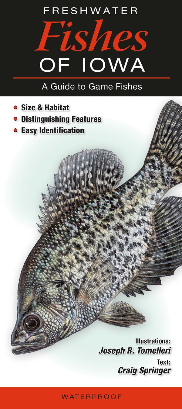 Freshwater Fishes of Iowa: A Guide to Game Fishes