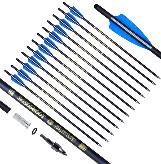 Crossbow Bolts 20 Inch Carbon Arrows 8.8mm Shaft Half Moon Nocks with Replaceable Screw-in Broadhead for Crossbow Hunting Target Practice Outdoor Gift, 12Pcs