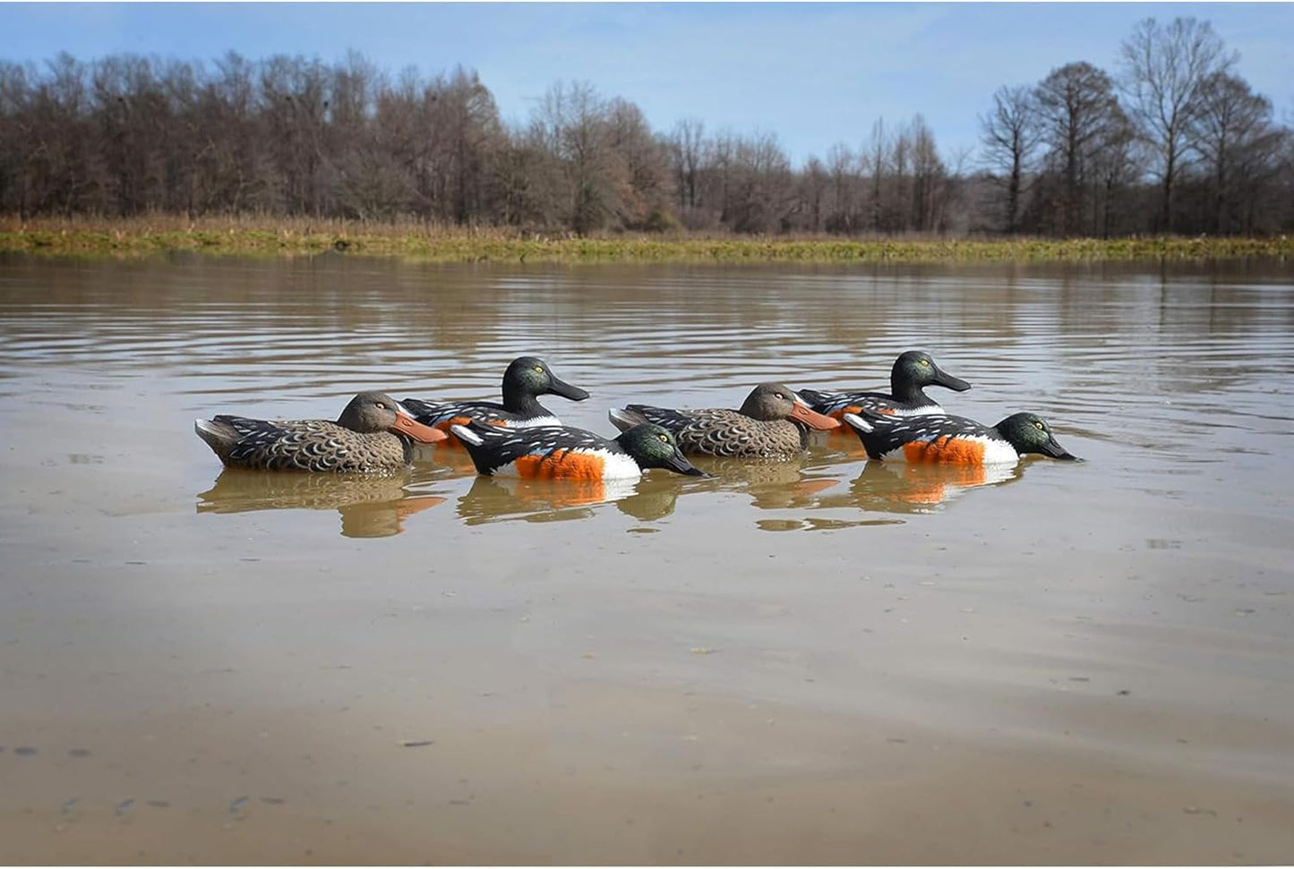Higdon Outdoors Standard Shoveler Duck Decoys, Foam-Filled