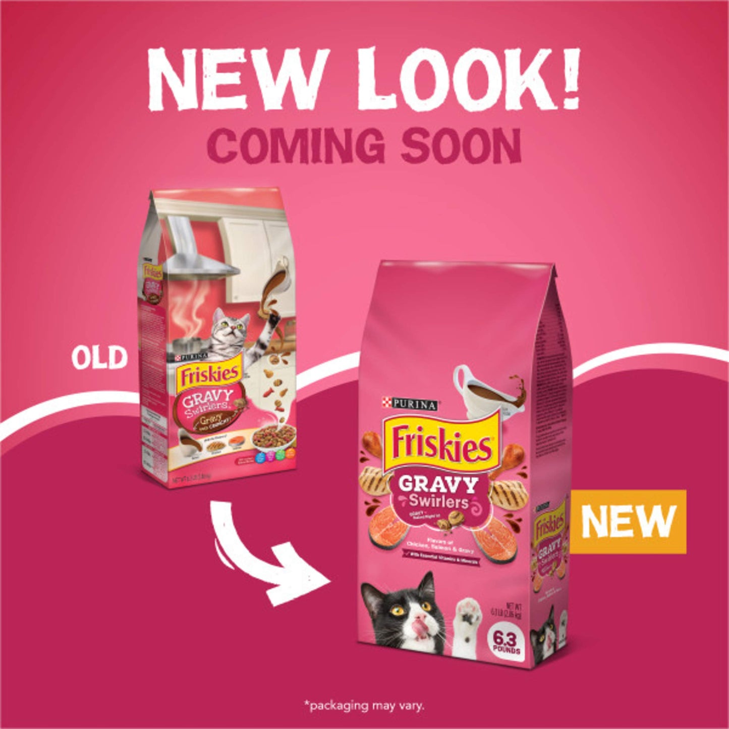 Purina Friskies Dry Cat Food Gravy Swirl'd With Flavors of Chicken, Salmon and Gravy - 22 lb. Bag