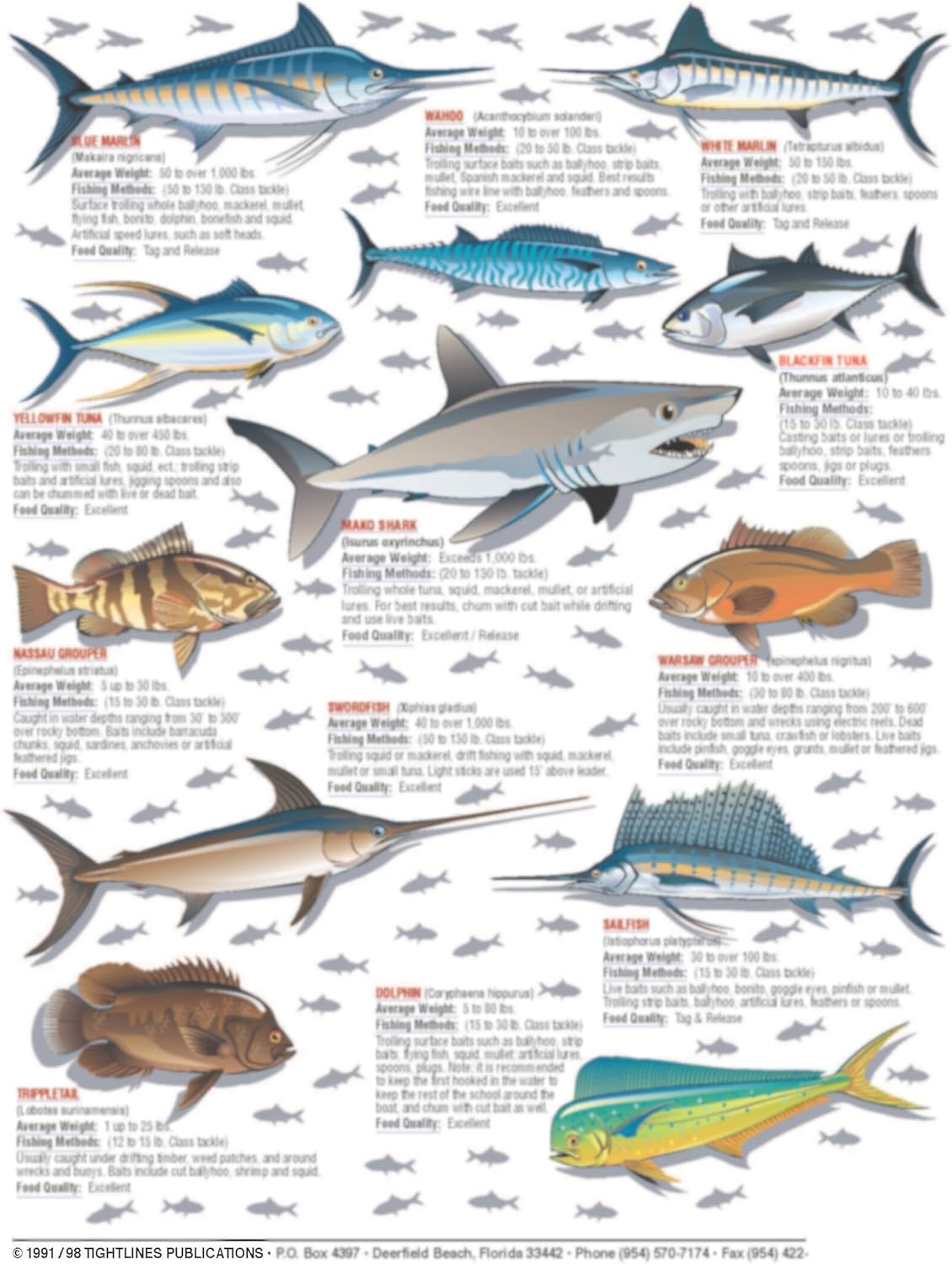 How to Catch 'Em Saltwater Fish Identification #1 - Waterproof Quick Reference Guide | Portable & Built to Last | Double-Sided & Easy to Read | (South Atlantic, Gulf of Mexico, Bahamas, and Caribbean)