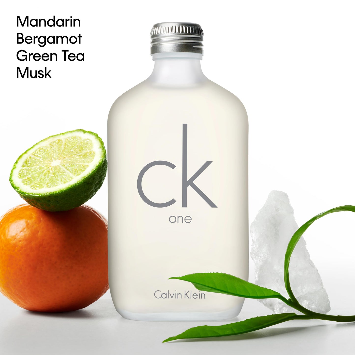 Calvin Klein Ck One Eau de Toilette 3.3 fl oz