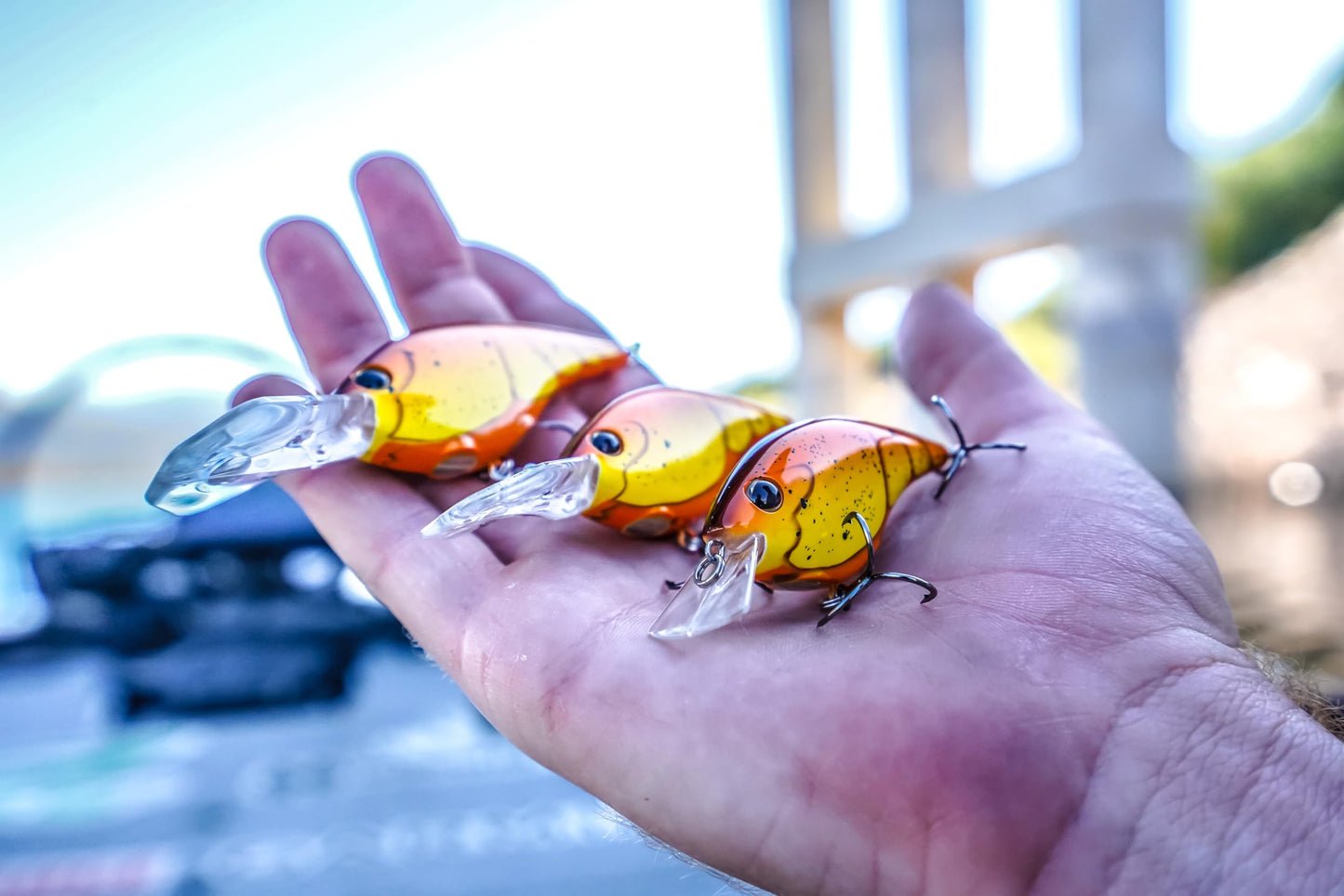 Berkley Frittside Fishing Lure 3-Pack, Shad Assortment, 5 (1/3 oz), Classic Flat Side Profile Mimics Variety of Species and Creates Flash, Equipped with Sharp Fusion19 Hook