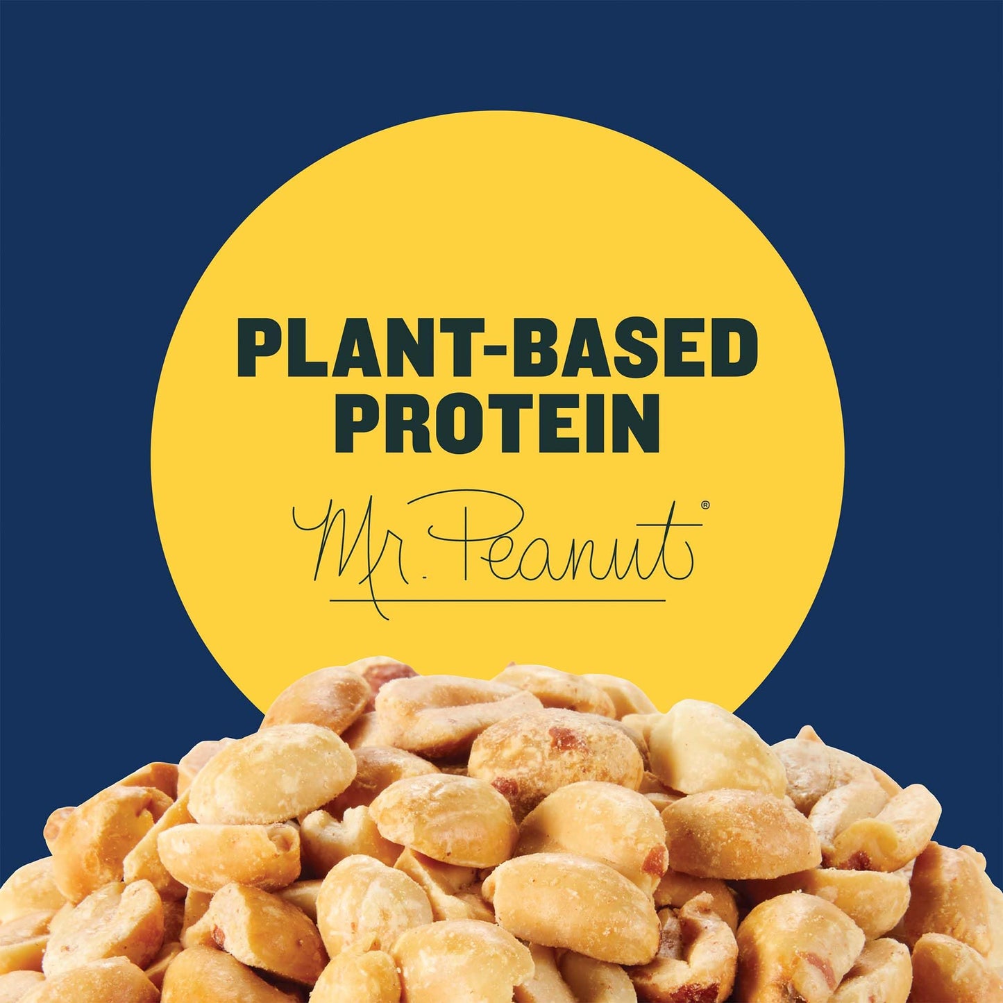 PLANTERS Peanuts, Lightly Salted Peanuts, Dry Roasted, Snacks for Adults, (6 ct Pack, 2.2 lb Containers)