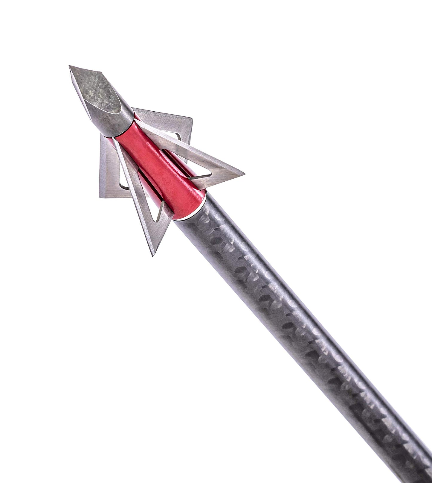 MuzzyBroadhead