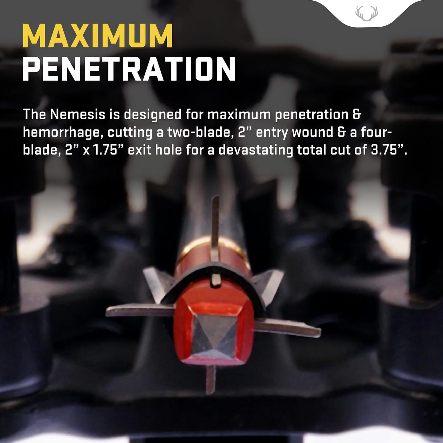 TenPoint Nemesis Broadhead - Pack of 3-100-Grain, Four-Blade, Expandable Design