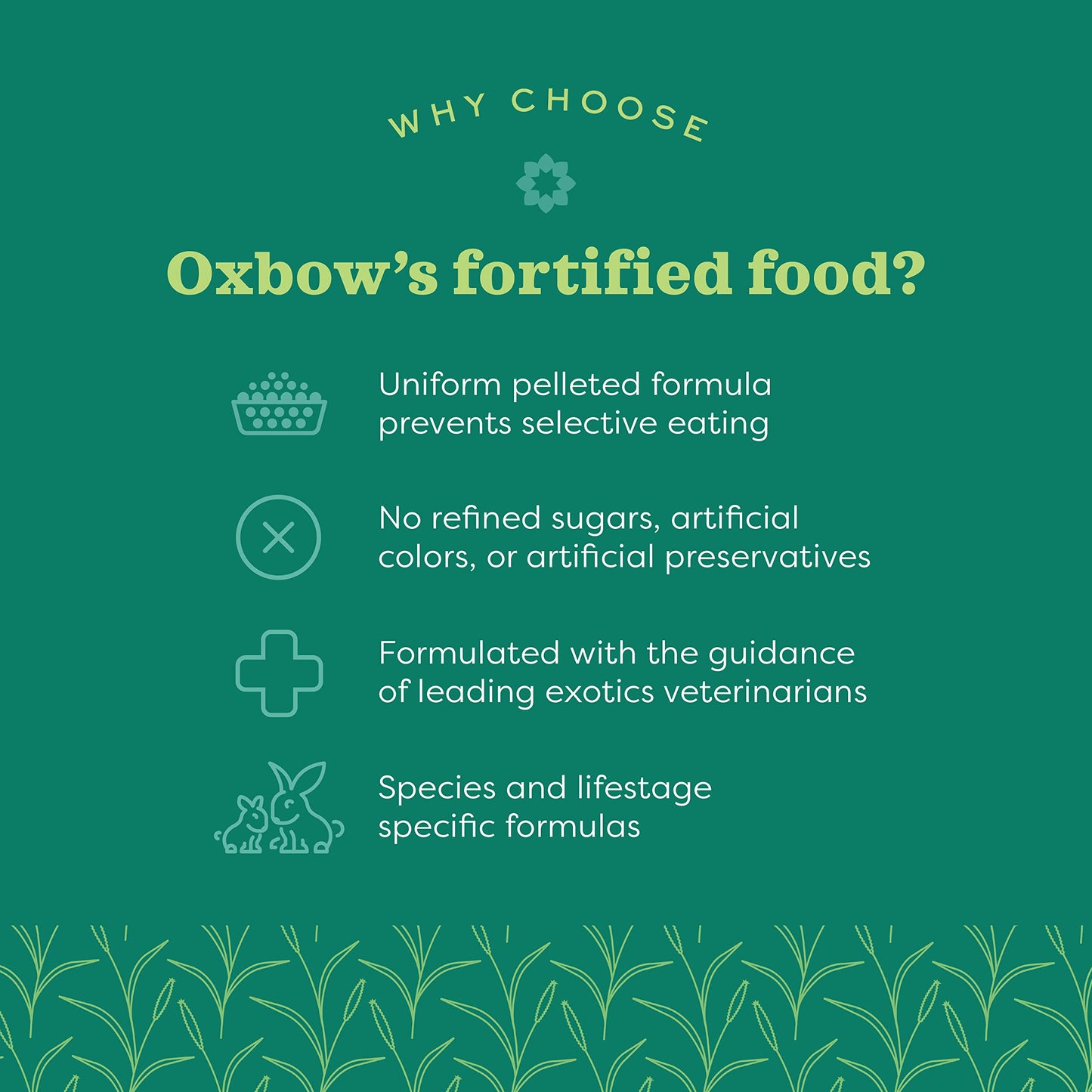 Oxbow Essentials Rabbit Food, Adult, Made with Oxbow Timothy Hay for Rabbit, Pet Pellets with Vitamins & Minerals, Small Animal Pet Products, Bunny Food, Made in USA, High Fiber, 10 lb. bag