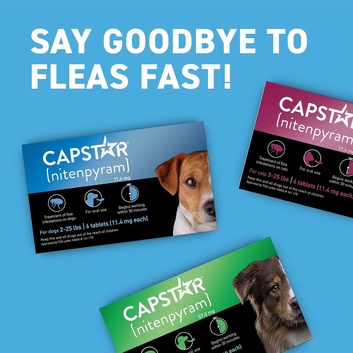 CAPSTAR Oral Flea Treatment for Dogs, Fast Acting Tablets Start Killing Fleas in 30 Minutes, Medium & Large Dogs (Over 25 lbs), 6 Doses