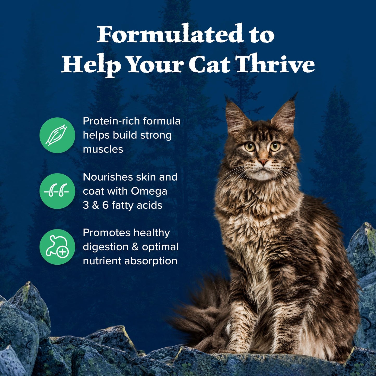 Blue Buffalo Wilderness Natural Adult Dry Cat Food, High-Protein and Grain-Free Diet, Supports Healthy Muscle Development and a Healthy Immune System, Chicken, 12-lb. Bag