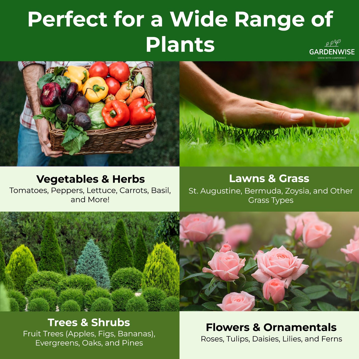 10-10-10 Plant Fertilizer Slow Release - 10 10 10 All Purpose Granular Garden Fertilizer for Vegetables, Tomato, Arborvitae, Shrubs, Rose, Flowers, Fruit, Fig Trees (1/2 Quart)