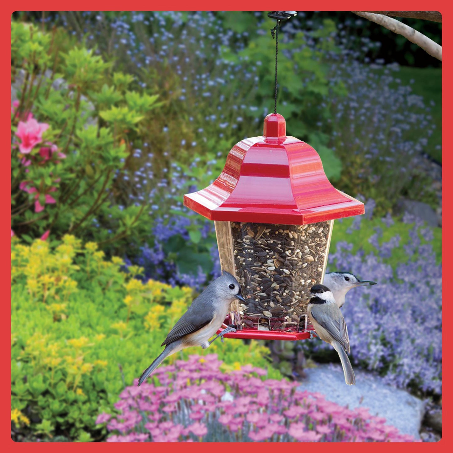 Pennington Pride Songbird Nut & Fruit Blend, Wild Bird Seed for Outside Feeders, Advanced Nutrition Formula for Bird Health, 10-lb. Bag