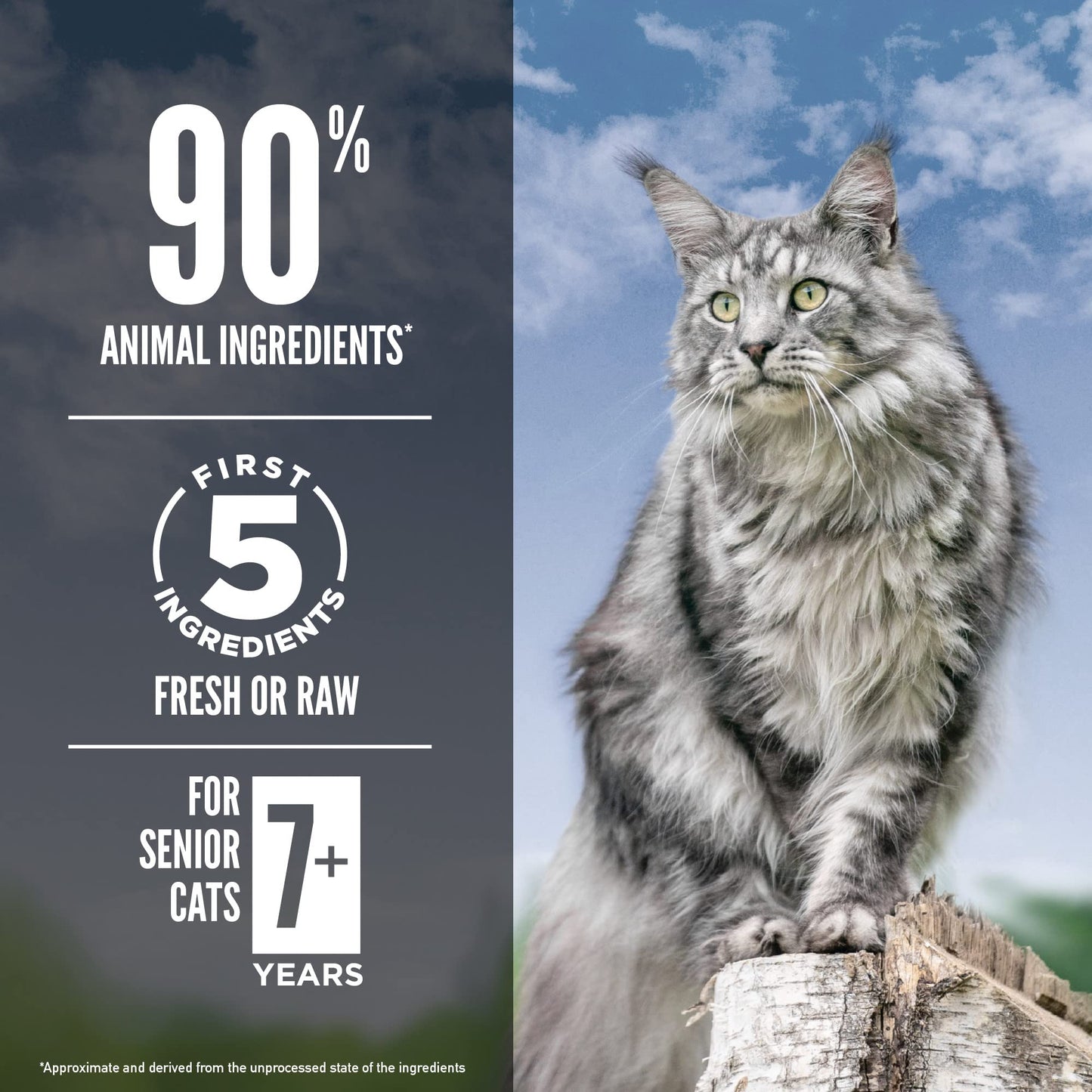 ORIJEN Grain Free High Protein Premium Dry Cat Food Original Recipe, 4lb Bag