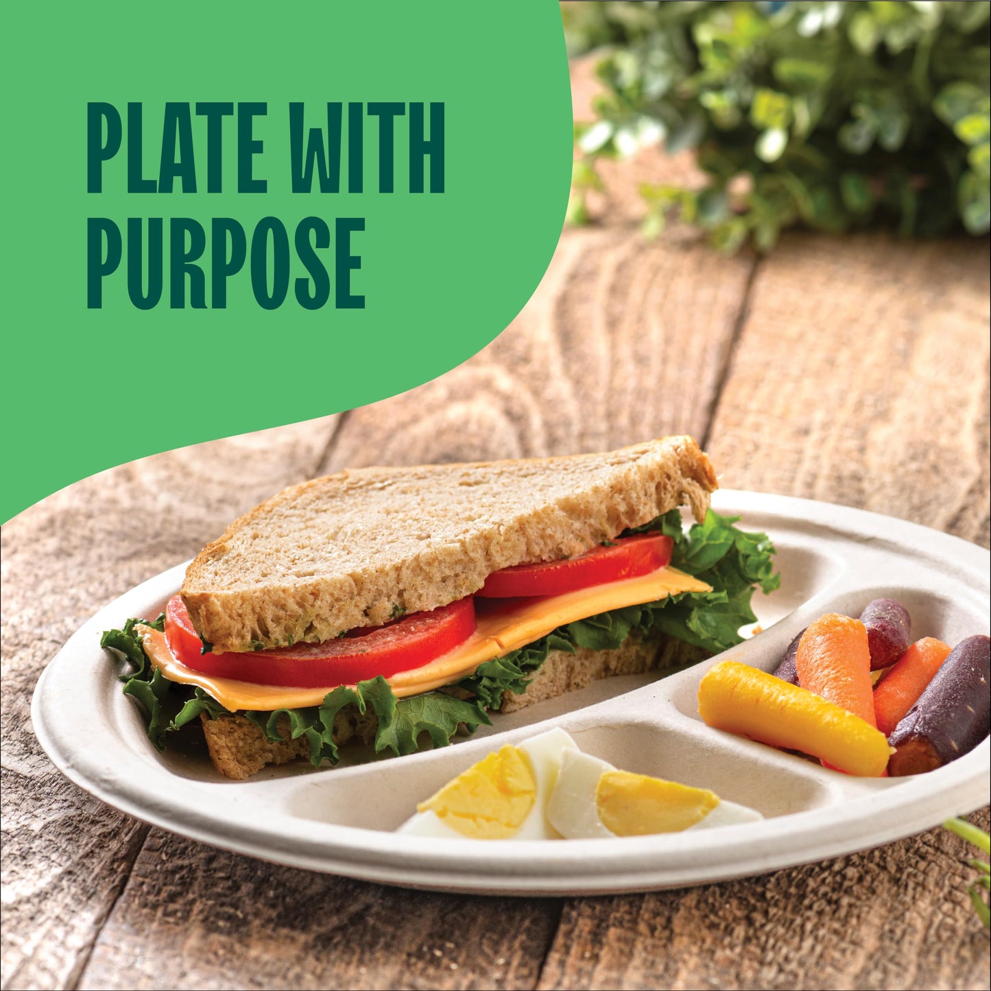 100% Compostable Paper Plates, Heavy Duty Disposable Plates [125-Pack] 9 Inch Plates - Eco-Friendly, Biodegradable Sugarcane Bagasse, Natural Unbleached Brown 9" Dinner Paper Plate Disposable