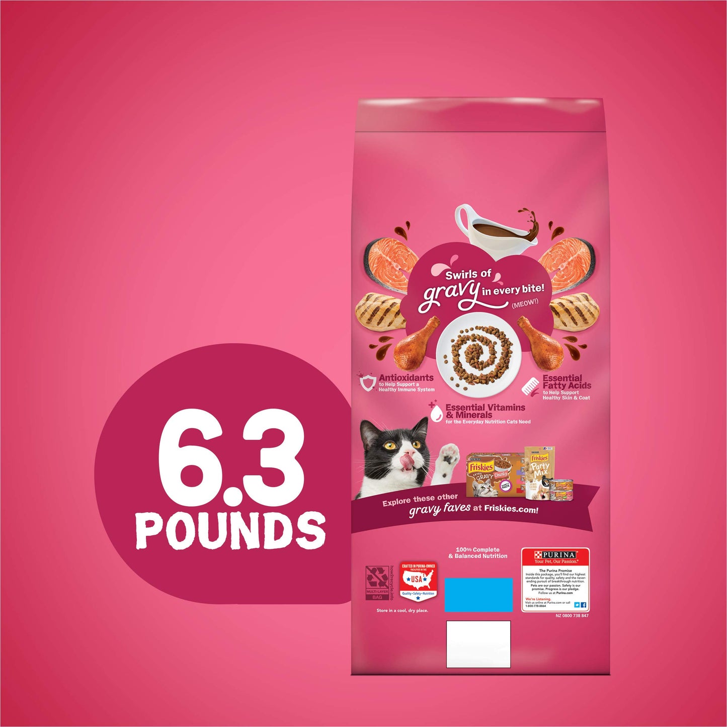 Purina Friskies Dry Cat Food Gravy Swirl'd With Flavors of Chicken, Salmon and Gravy - 22 lb. Bag