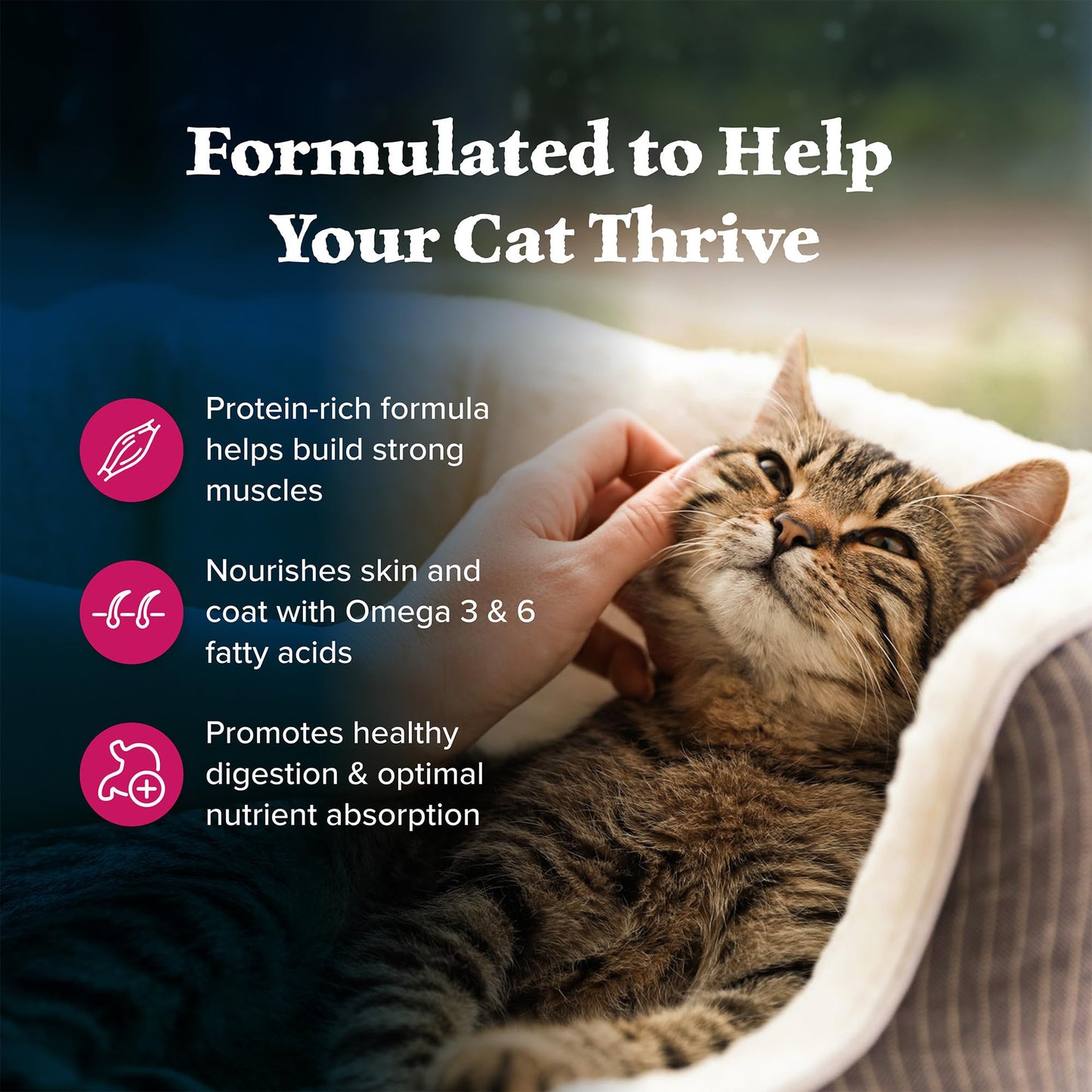 Blue Buffalo Wilderness Natural Adult Dry Cat Food, High-Protein and Grain-Free Diet, Supports Healthy Muscle Development and a Healthy Immune System, Chicken, 12-lb. Bag