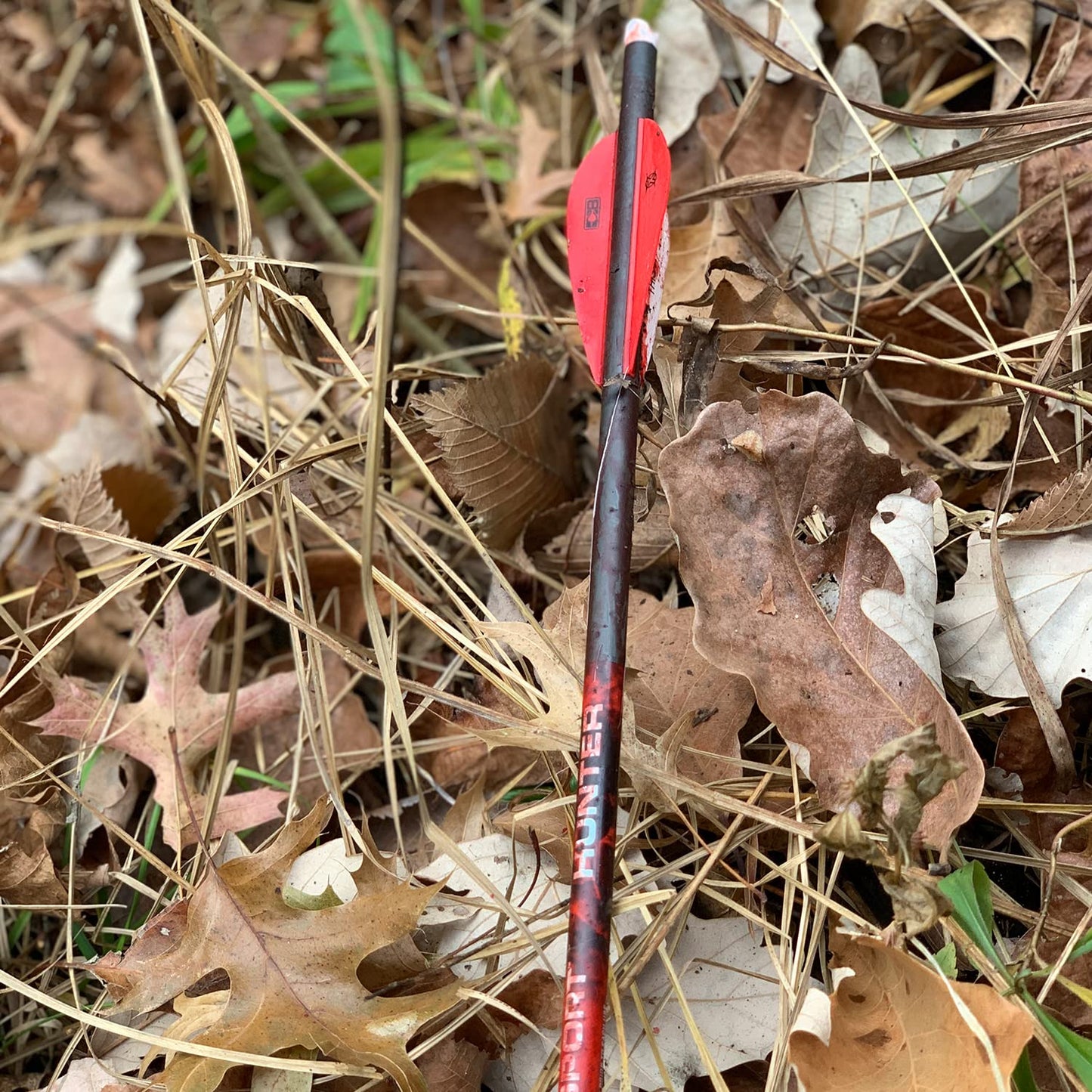 BLOODSPORT Crossbow Bolts
