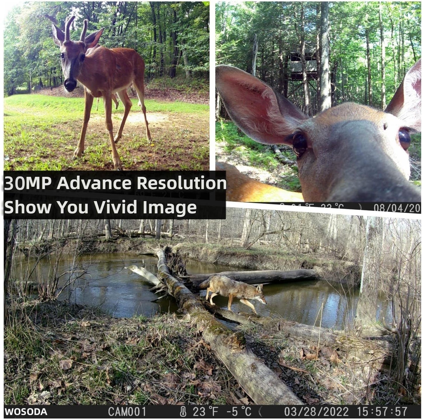 WOSODA 2 Pack Trail Cameras with Night Vision Motion Activated Waterproof,30MP Hunting Game Camera,1080P HD Trail Cam with SD Card for Wildlife Monitoring,Outdoor Scouting & Security