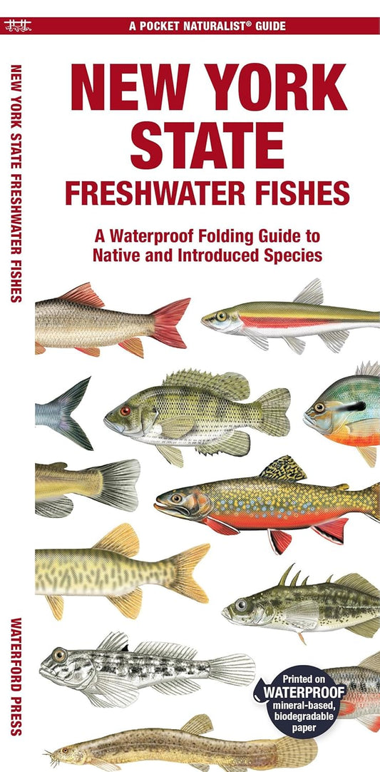 New York State Freshwater Fishes: A Folding Guide to Native and Introduced Species (Nature Observation North America)