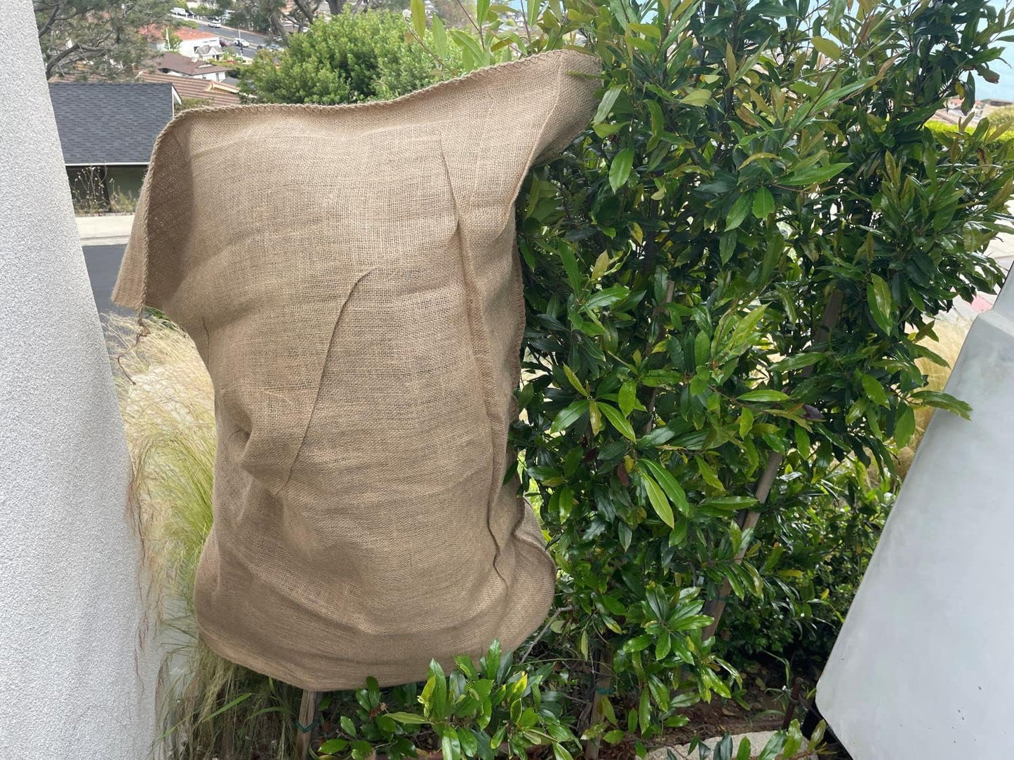 Burlap Bags for Vegetables & Gardening, 22" X 36"- Jute Sacks Perfect for Kids - Plant Covers - Holds Up to 50lbs - Food Grade (Burlap Sack, 100, Count)