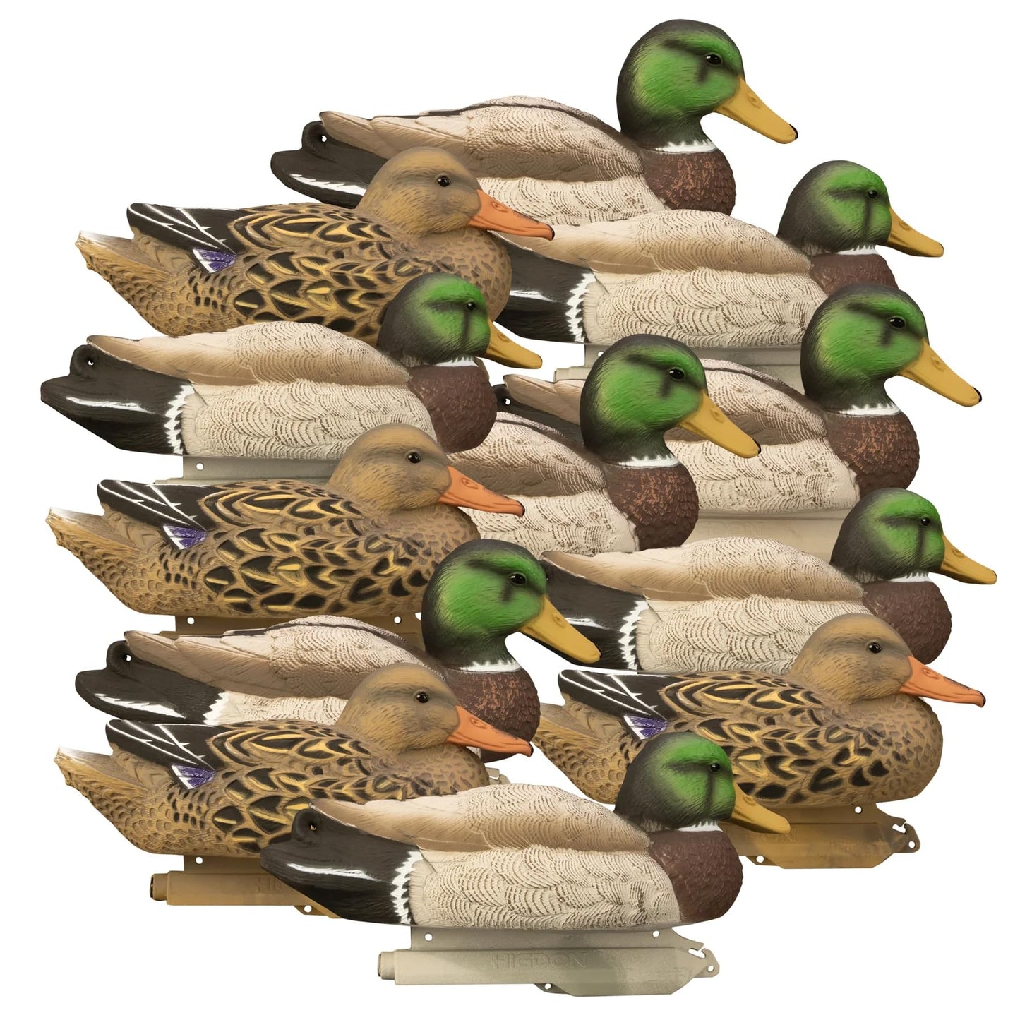 Higdon Outdoors Standard Mallard Duck Decoys | Ultra Realistic Drake & Hen Decoys for Waterfowl Hunting | Foam-Filled & Non-Foam-Filled | 12pk & 6pk Available
