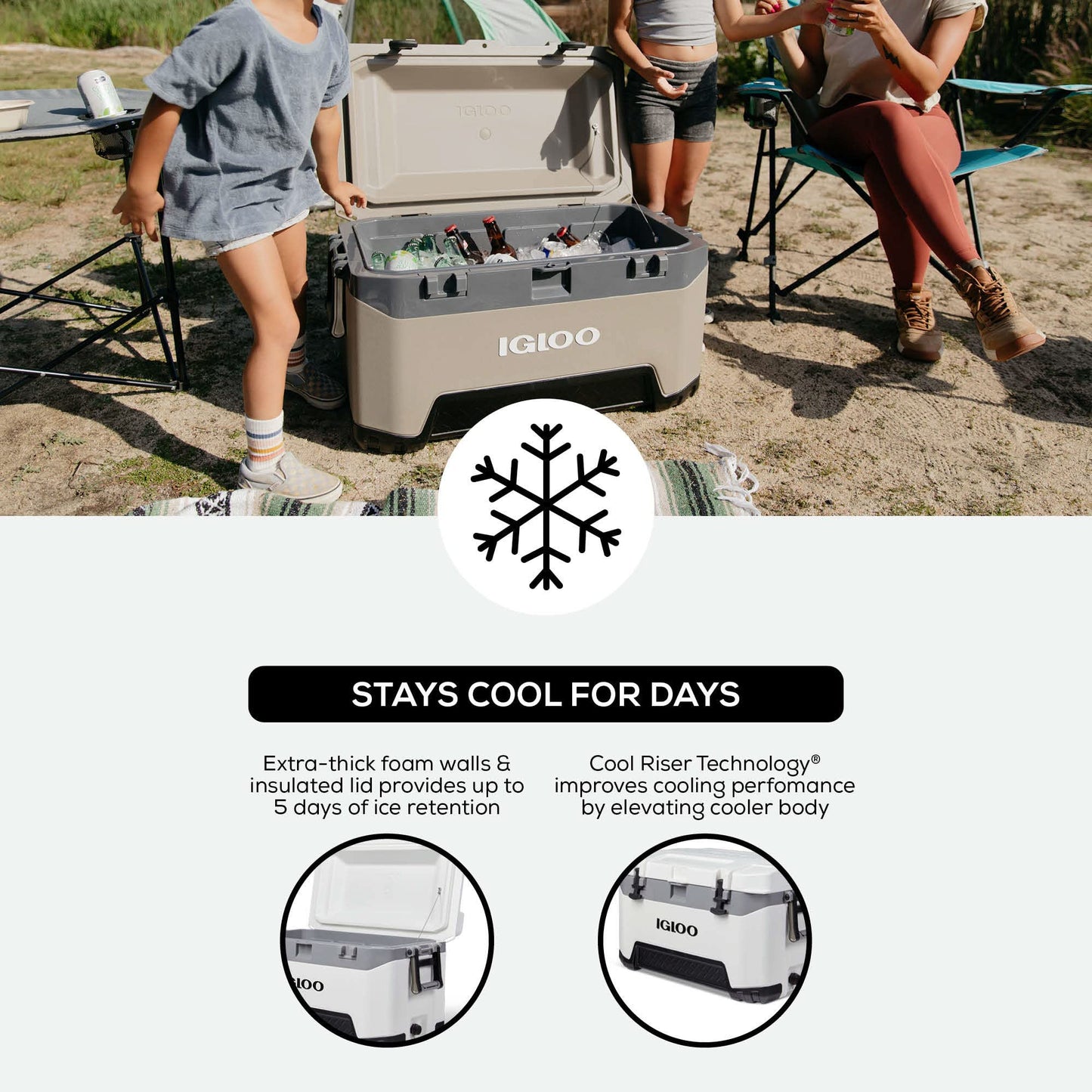 Igloo BMX Hard Coolers (25-72QT)