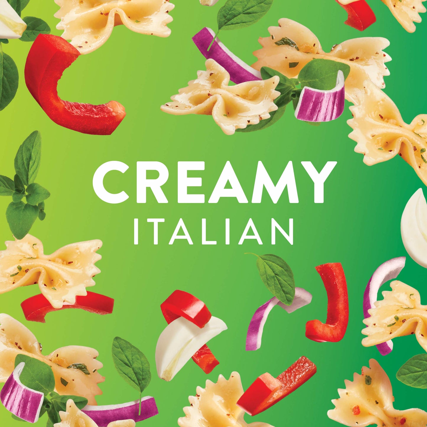 Wish-Bone Zesty Robusto Italian Salad Dressing, 15 FL OZ