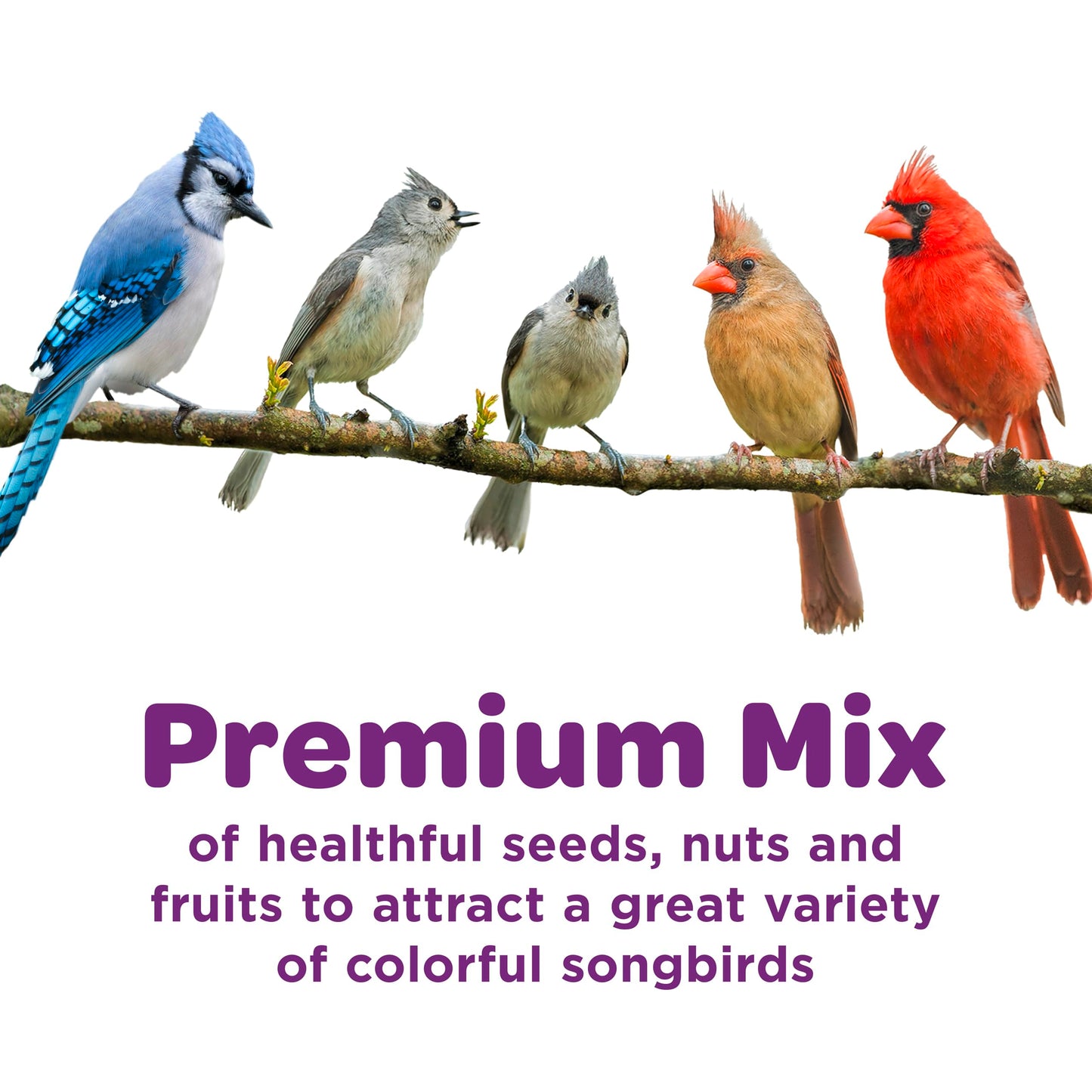 Kaytee Nut & Fruit Wild Bird Seed, 5 lb