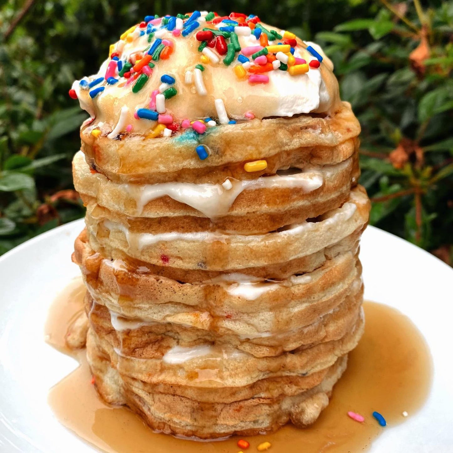 Organic Pancake and Waffle Mix, Classic Recipe by Birch Benders, Whole Grain, Non-GMO, Just Add Water, 16oz (Packaging may vary)