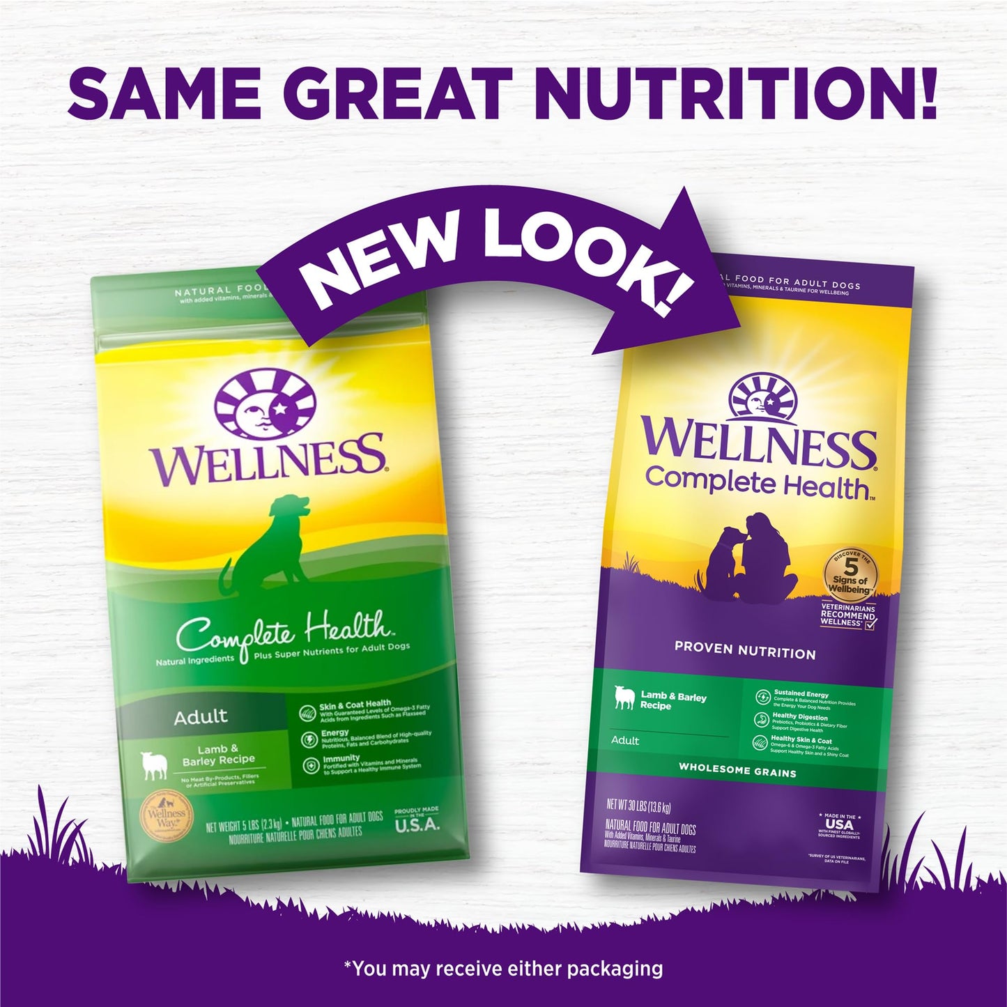 Wellness Complete Health Dry Dog Food, Wholesome Grains, Natural, Lamb & Barley Recipe, (30-Pound Bag)
