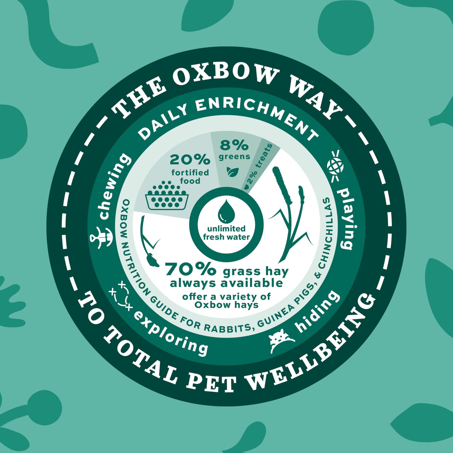 Oxbow Essentials Rabbit Food, Adult, Made with Oxbow Timothy Hay for Rabbit, Pet Pellets with Vitamins & Minerals, Small Animal Pet Products, Bunny Food, Made in USA, High Fiber, 10 lb. bag