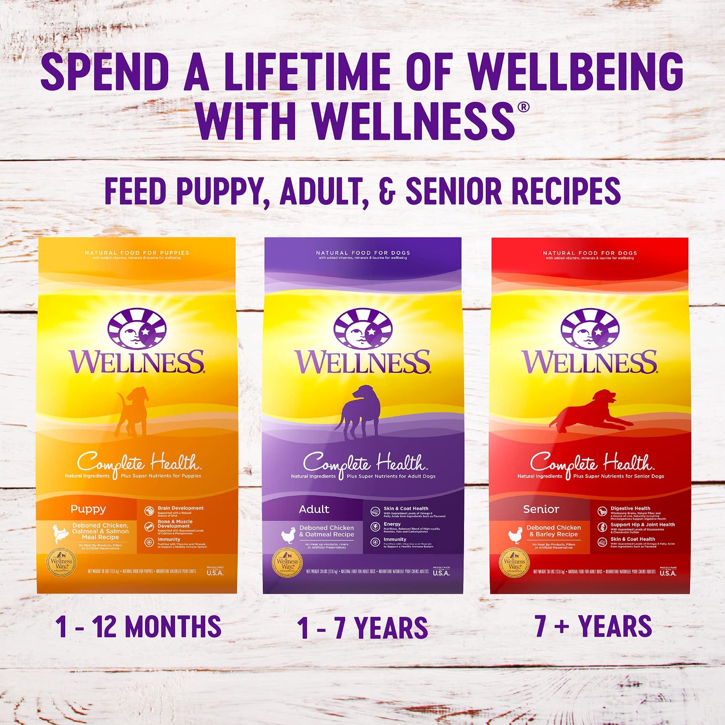 Wellness Complete Health Dry Dog Food, Wholesome Grains, Natural, Lamb & Barley Recipe, (30-Pound Bag)
